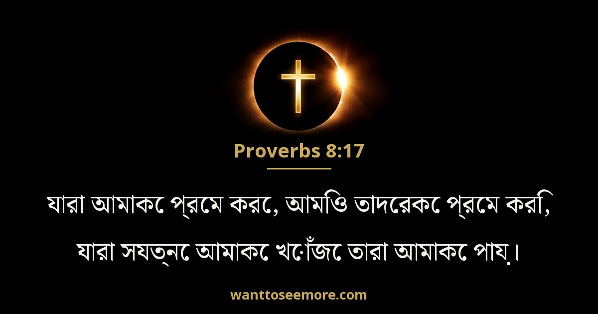 Proverbs 8:17