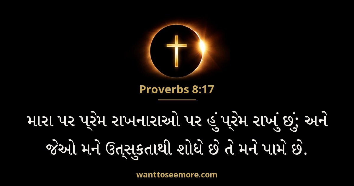 Proverbs 8:17