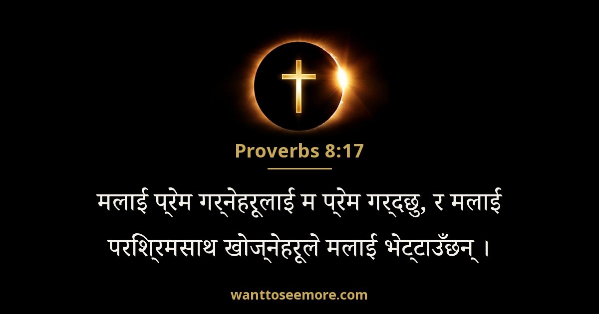 Proverbs 8:17