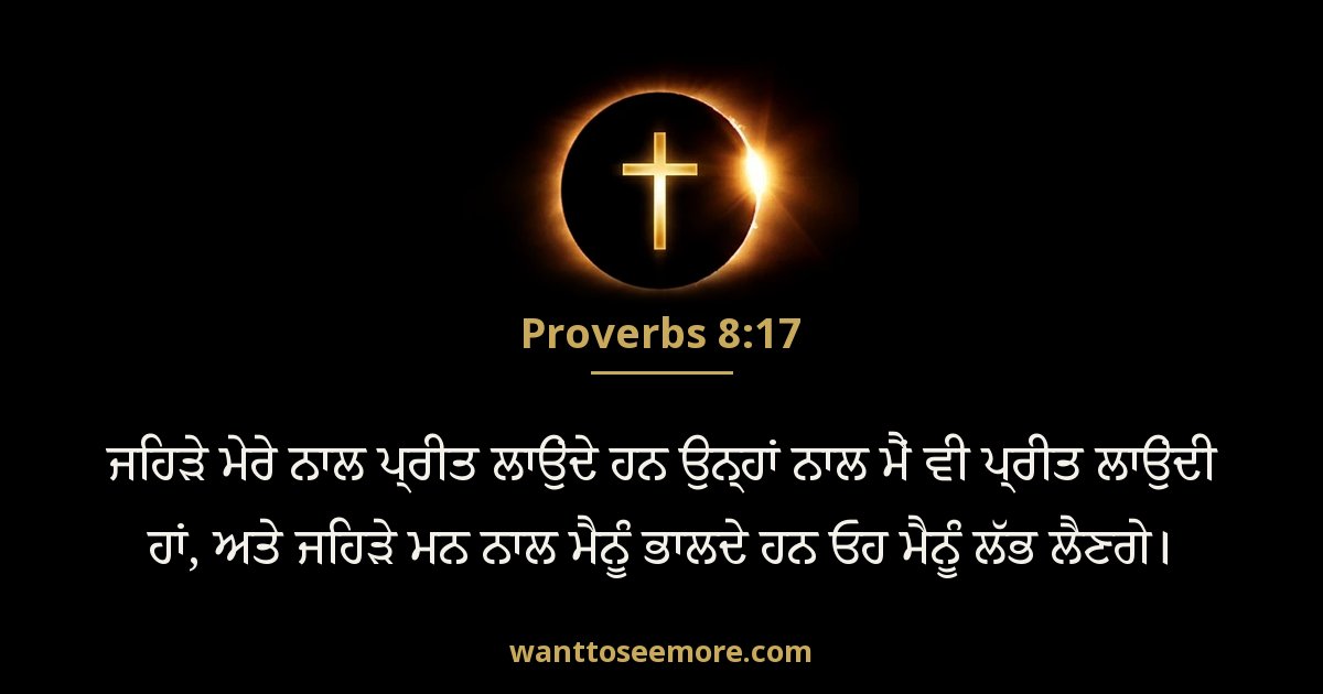 Proverbs 8:17