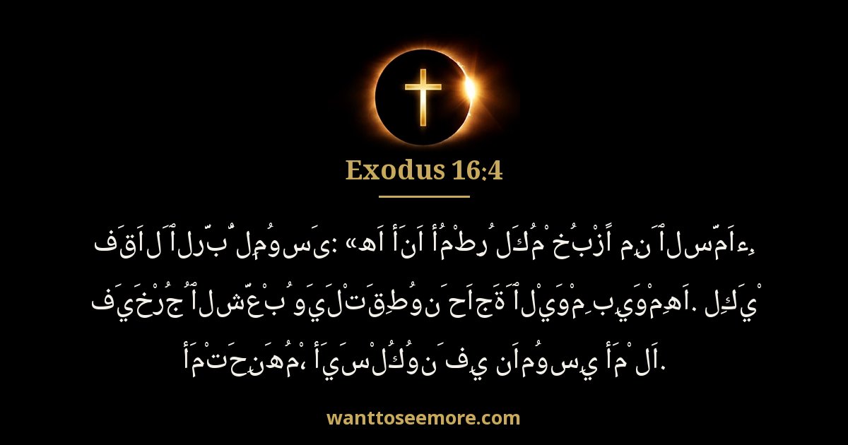 Exodus 16:4