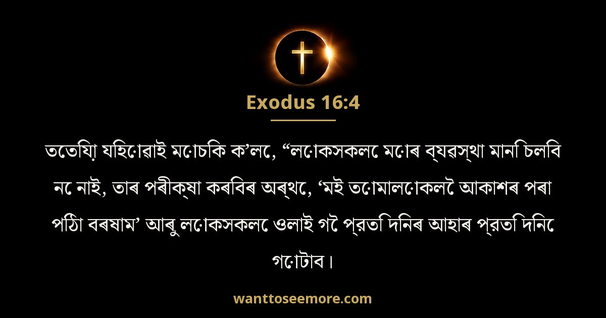 EXO 16:4