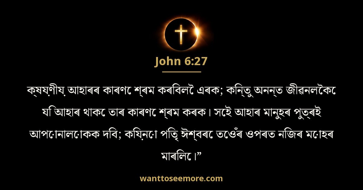 JHN 6:27