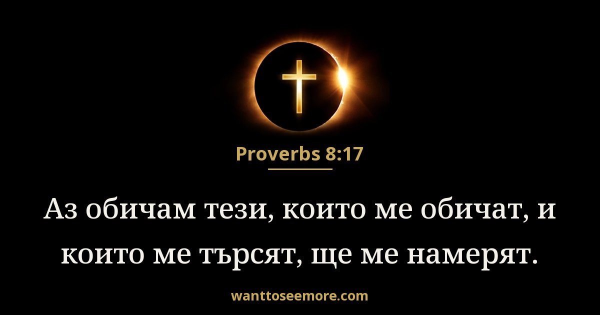 Proverbs 8:17