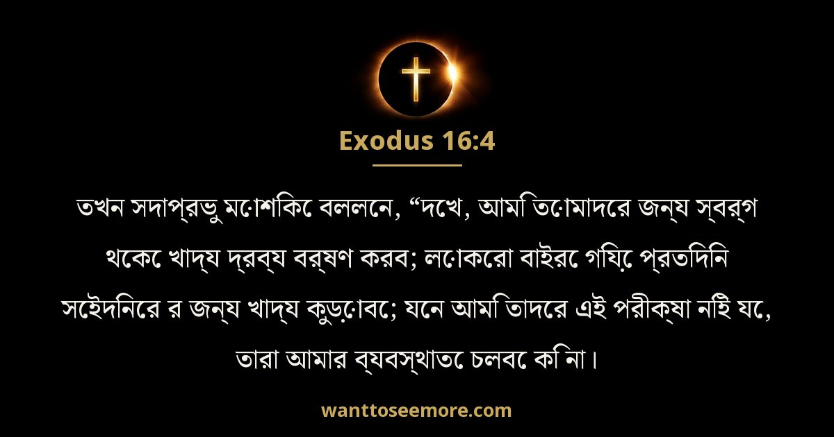 Exodus 16:4