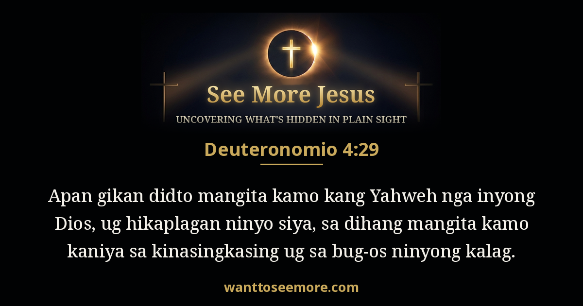 DEU 4:29
