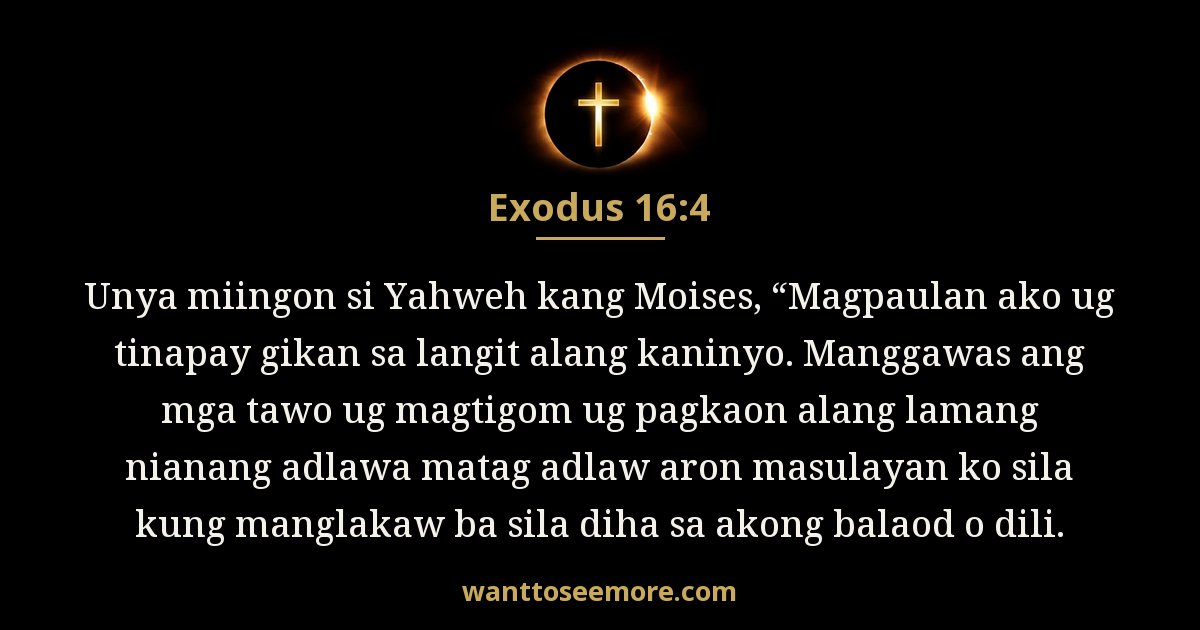 Exodus 16:4