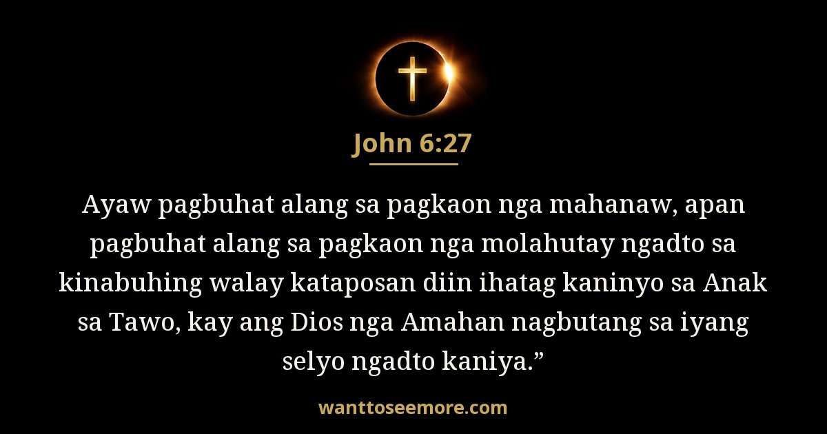JHN 6:27