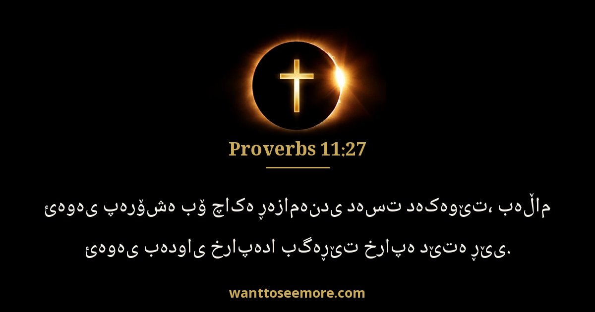 PRO 11:27