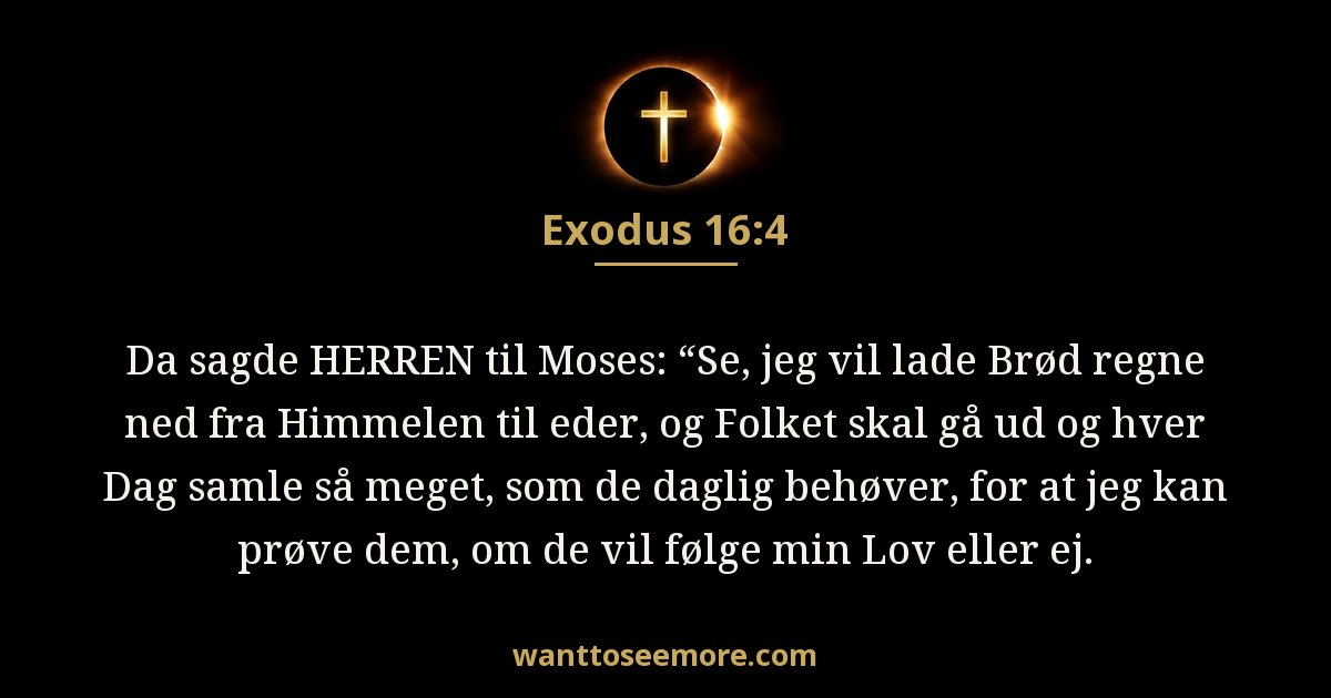 Exodus 16:4