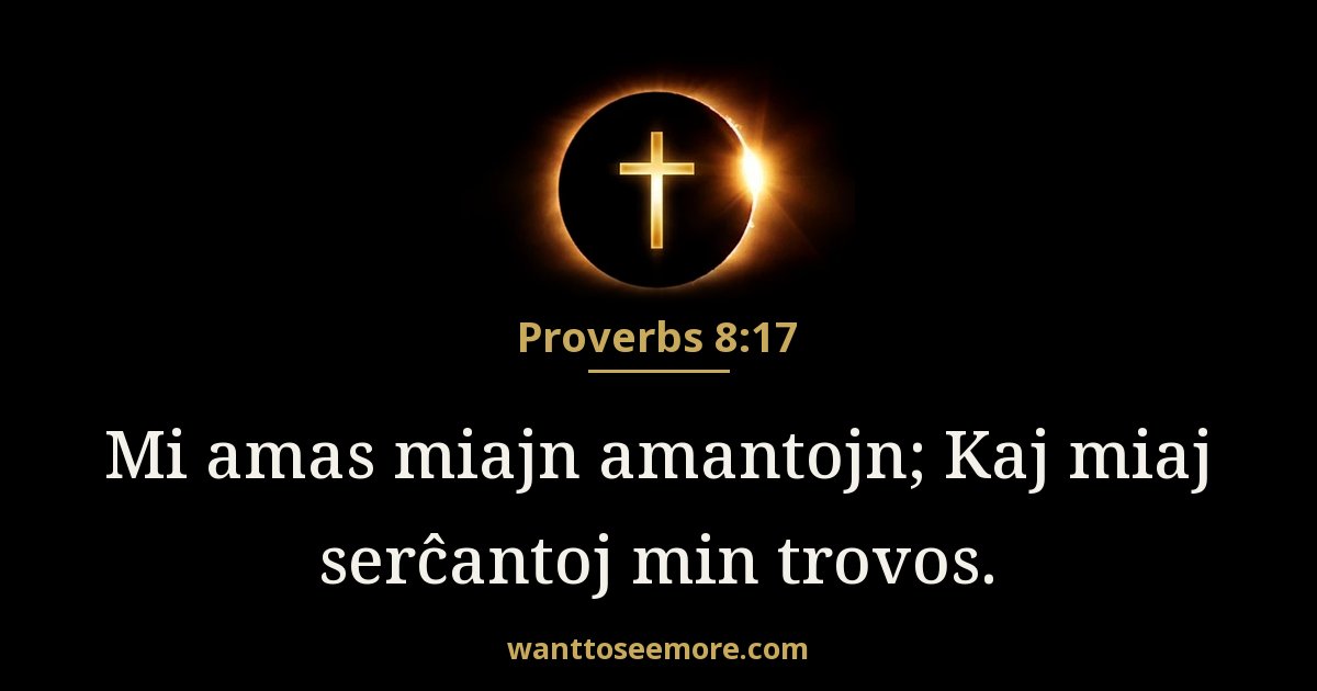 Proverbs 8:17