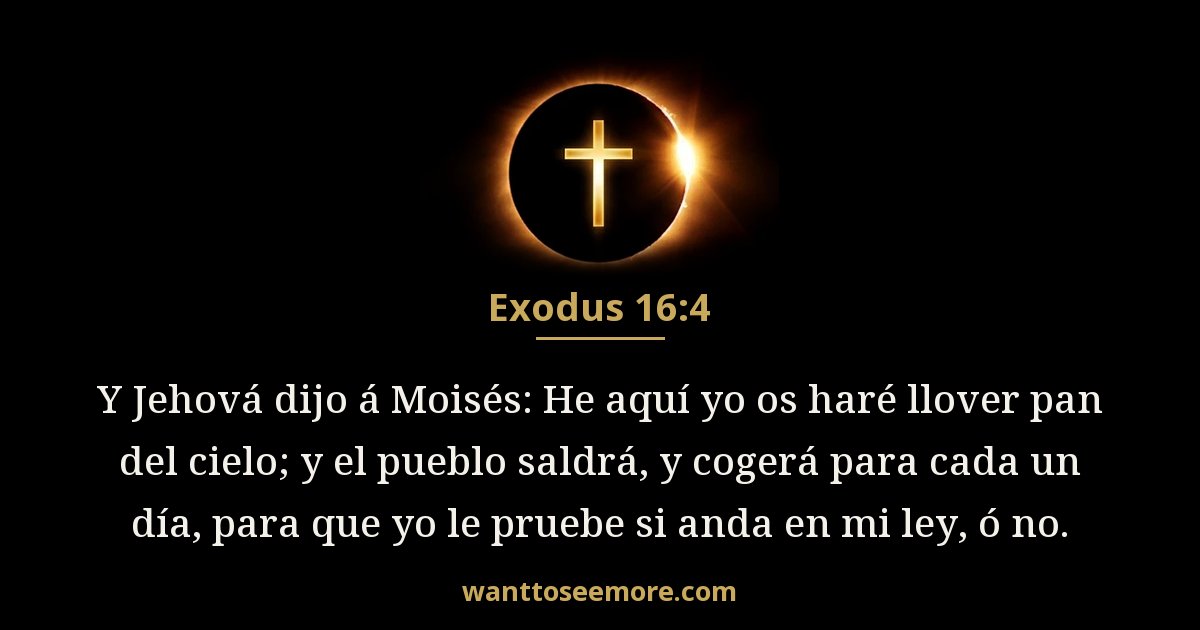 Exodus 16:4