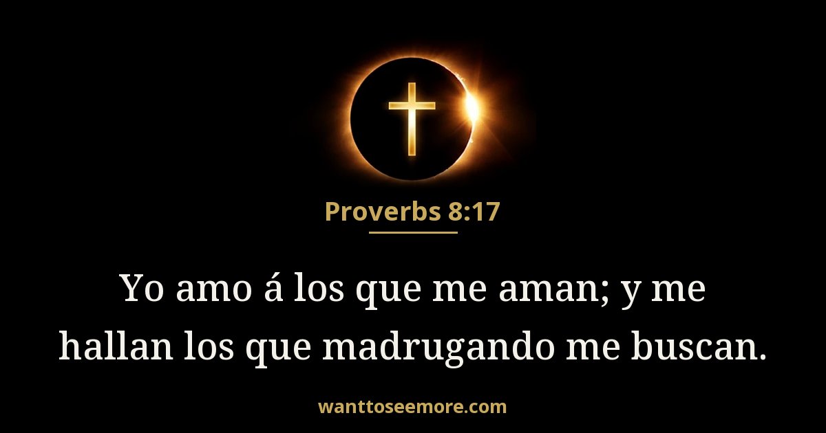 Proverbs 8:17