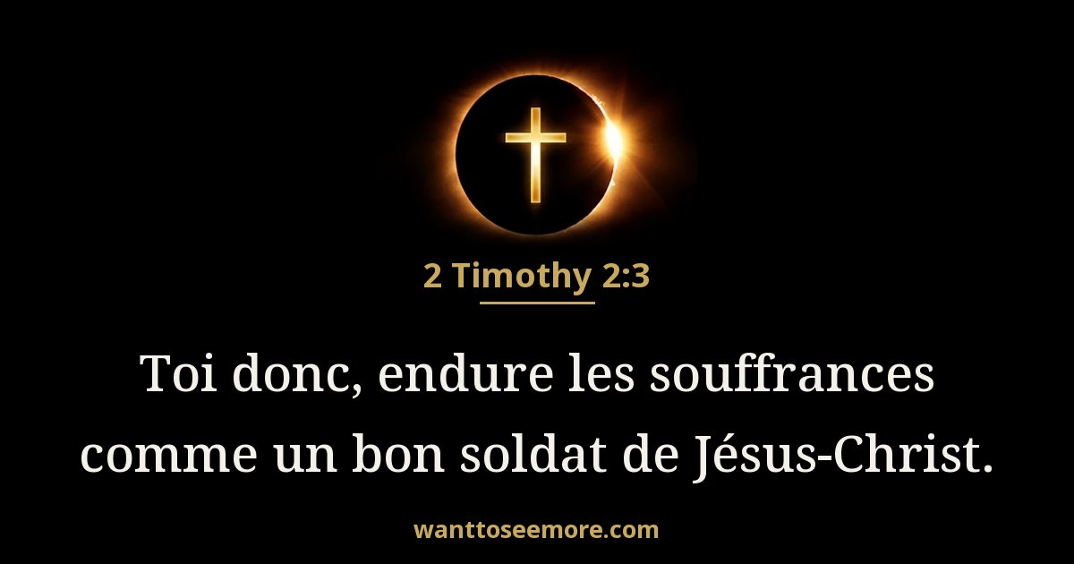 2 Timothy 2:3