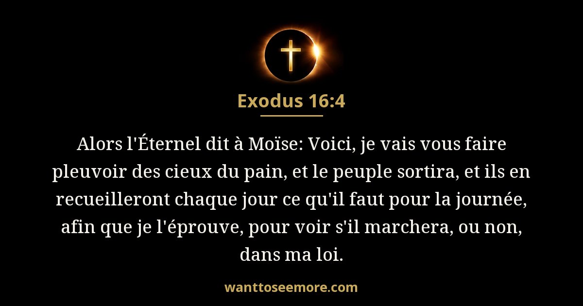 Exodus 16:4