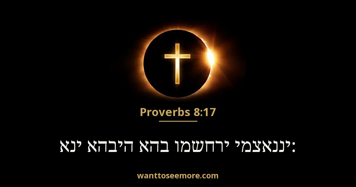 Proverbs 8:17