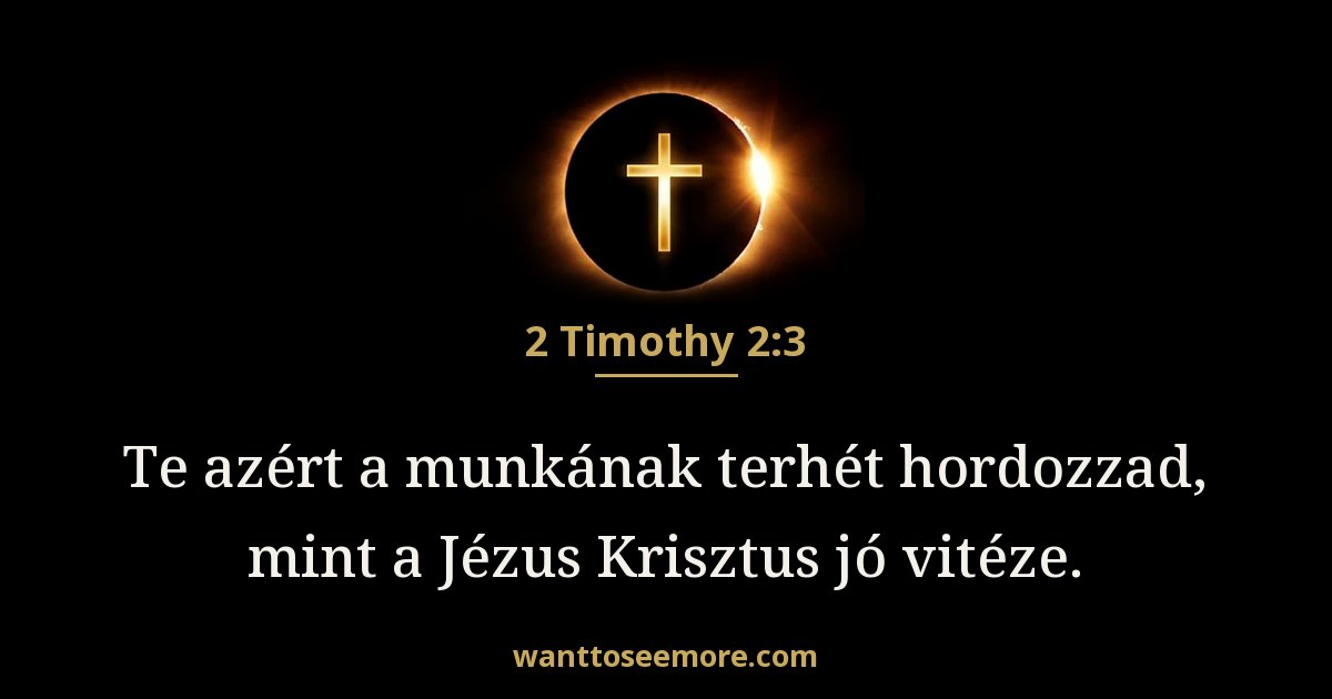 2 Timothy 2:3