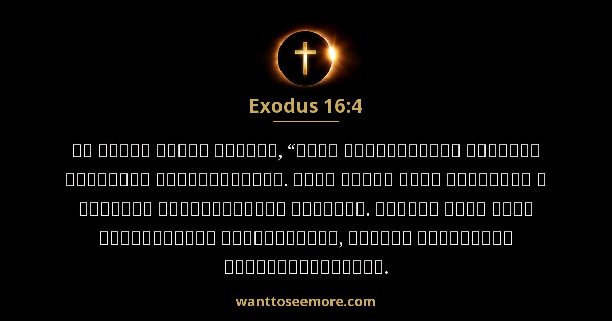 Exodus 16:4