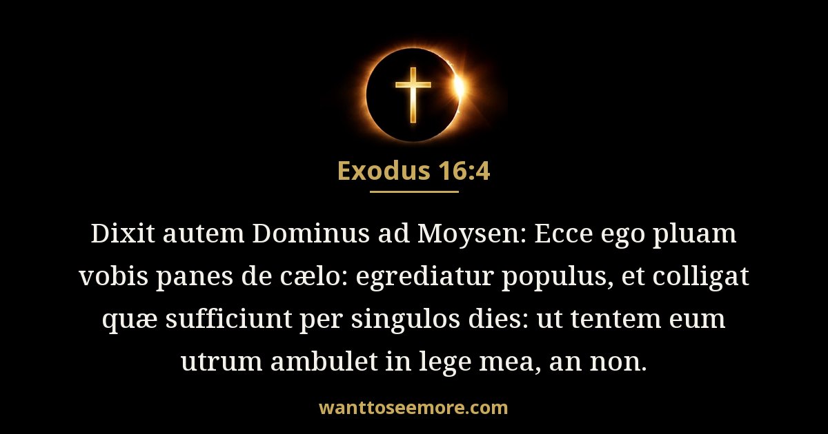 Exodus 16:4