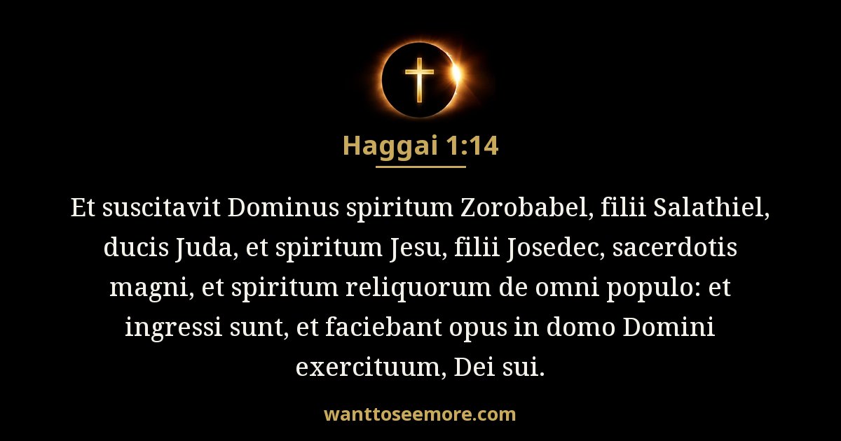 Aggaeus 1:14