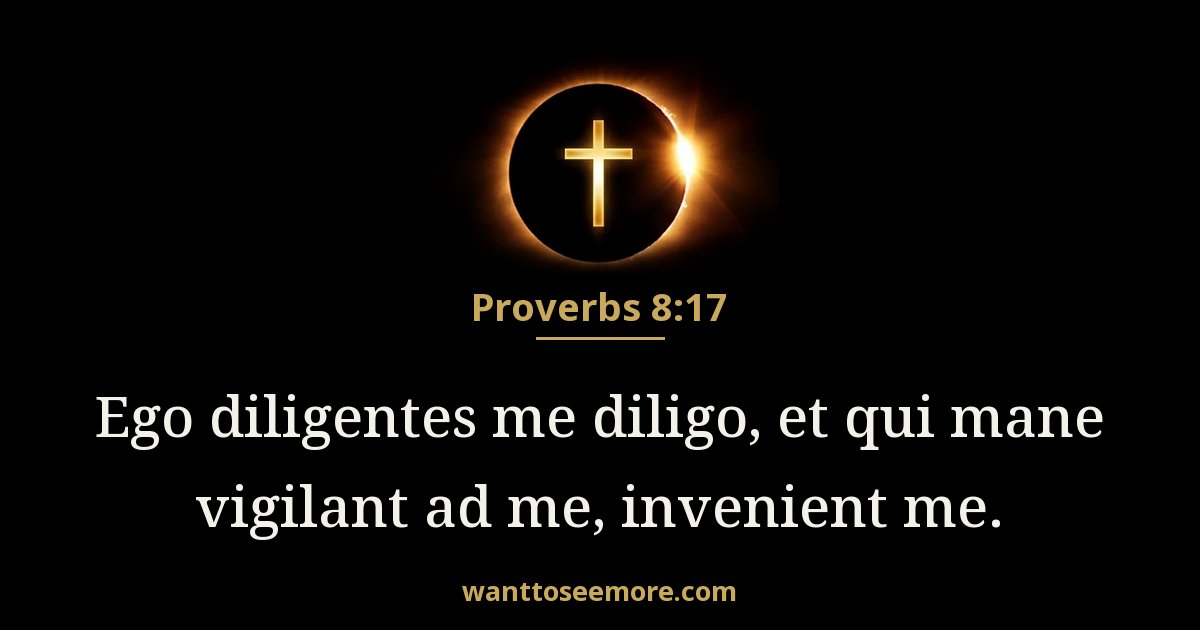 Proverbs 8:17