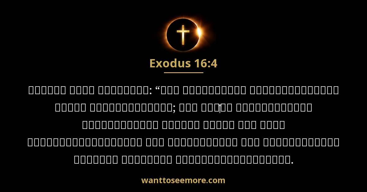 Exodus 16:4
