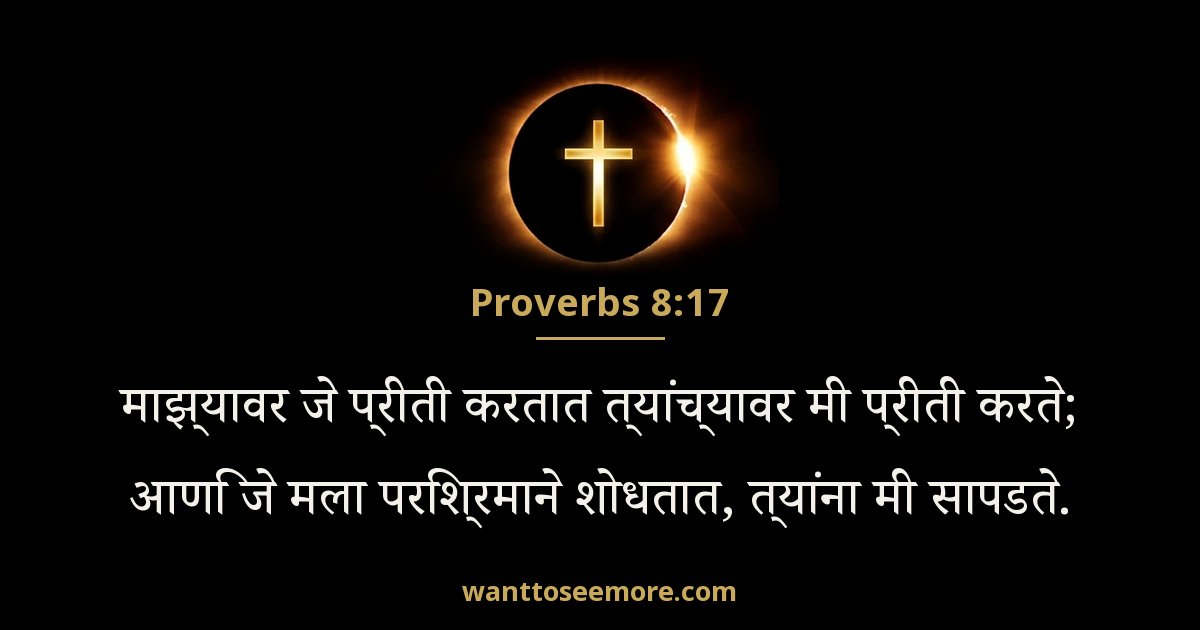 Proverbs 8:17