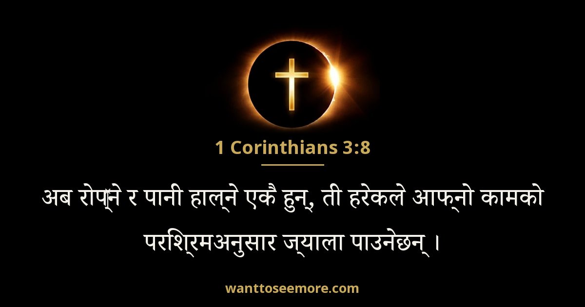 1CO 3:8