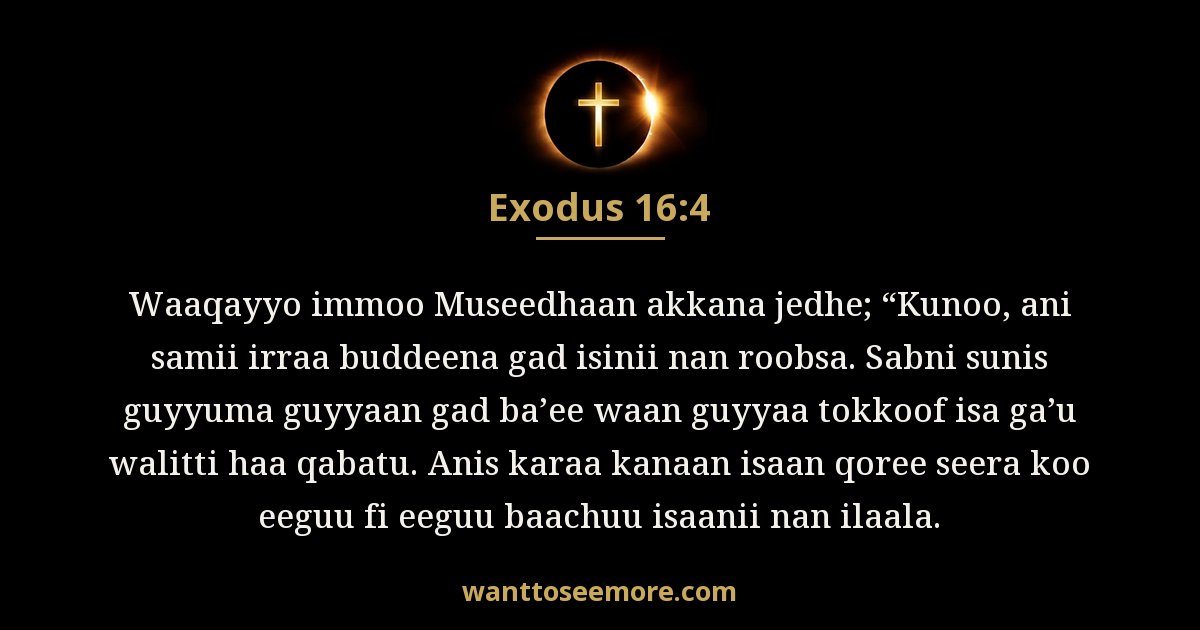 Exodus 16:4