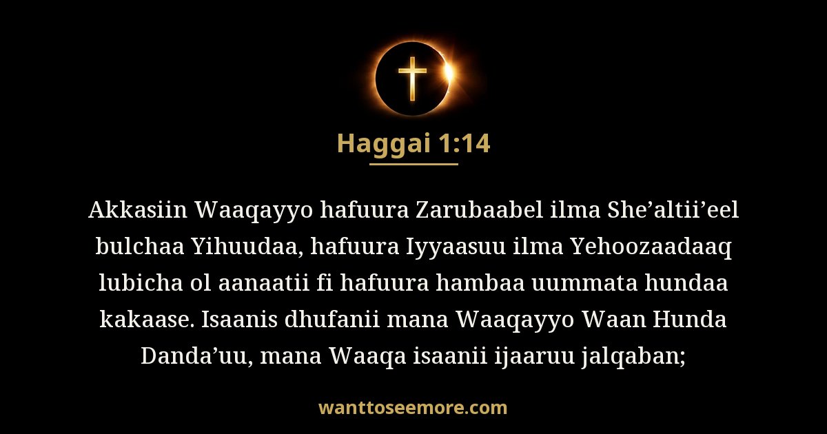 Haggai 1:14