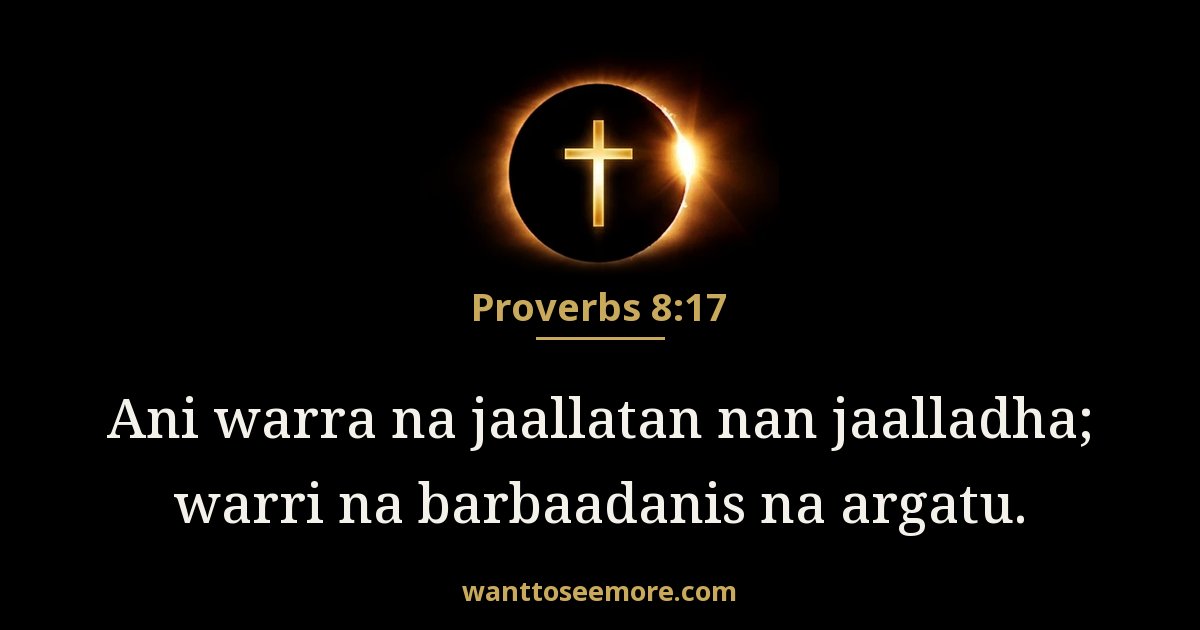 Proverbs 8:17