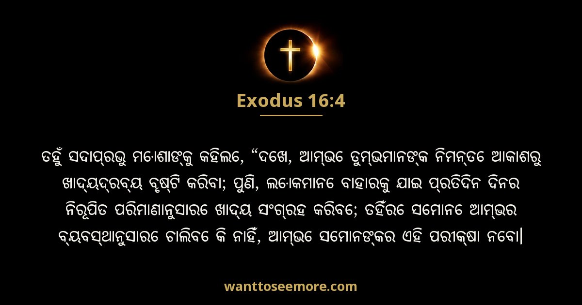 Exodus 16:4
