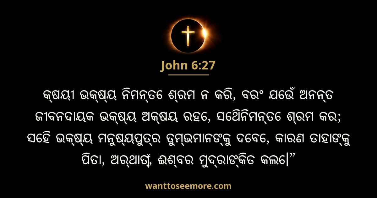 John 6:27