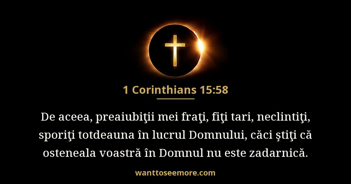 1CO 15:58