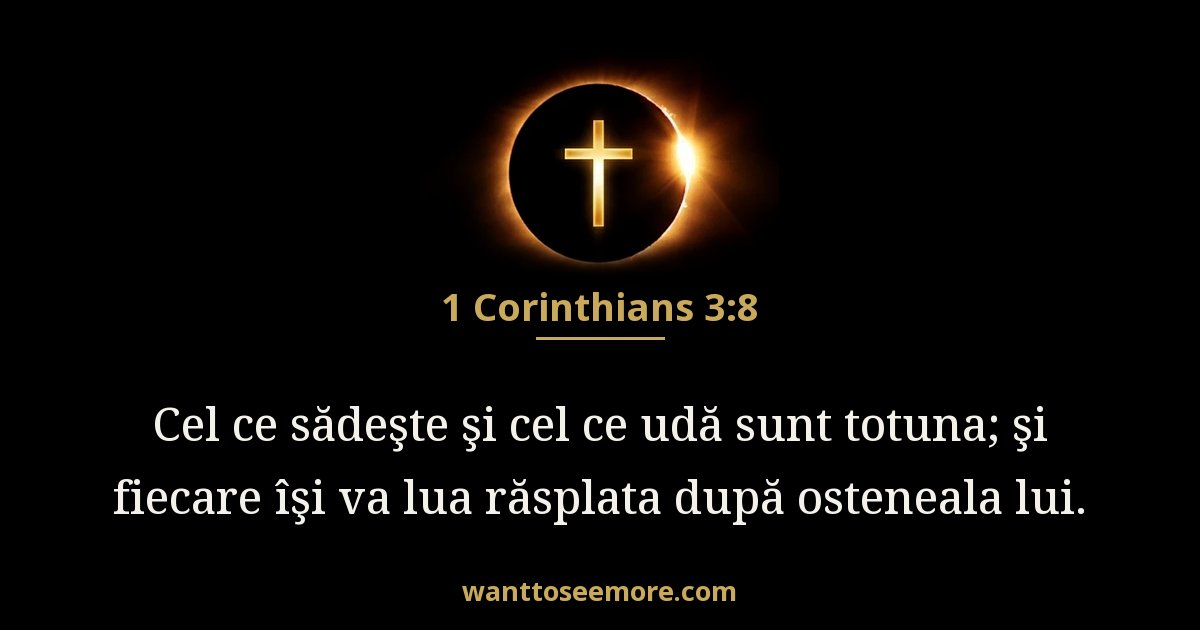 1 Corinthians 3:8