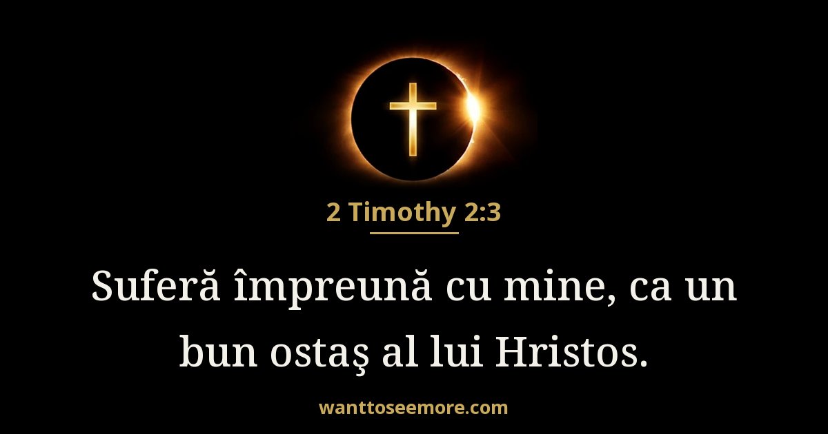 2 Timothy 2:3