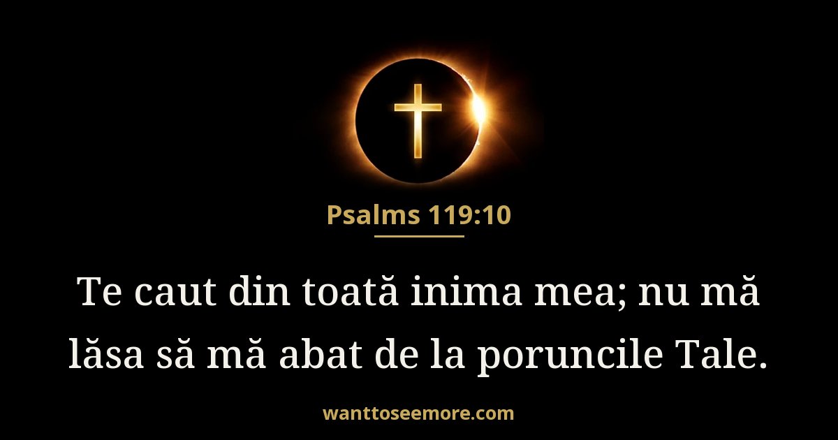 Psalms 119:10
