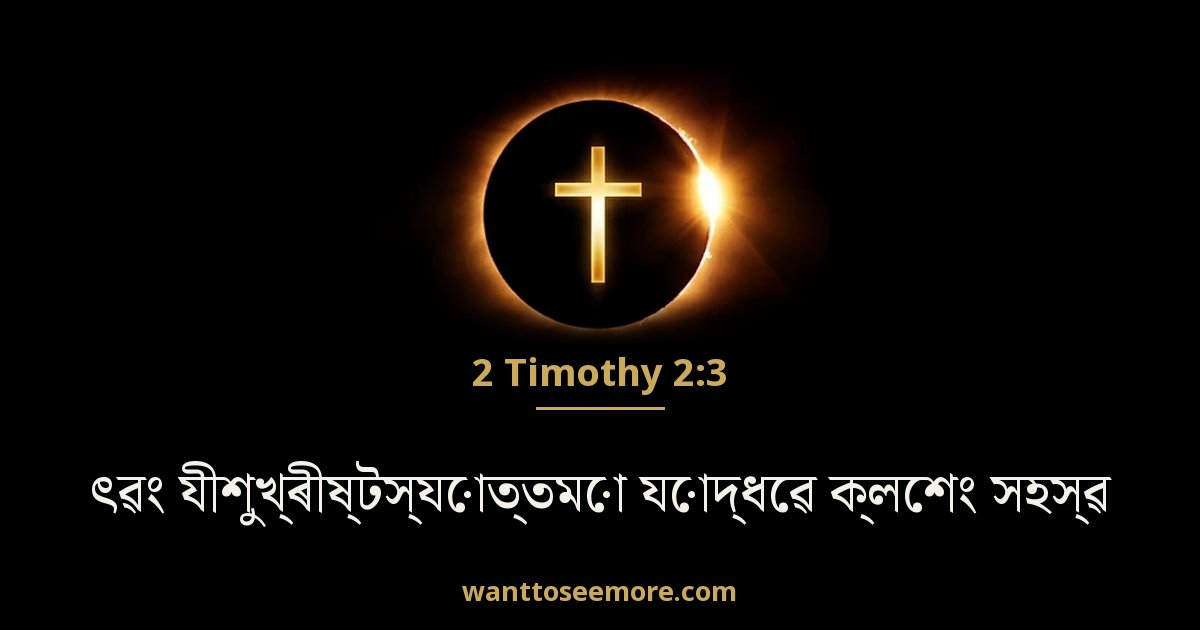 2 Timothy 2:3