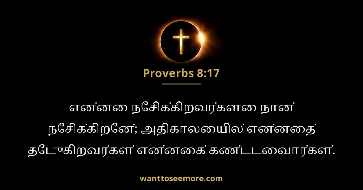 Proverbs 8:17