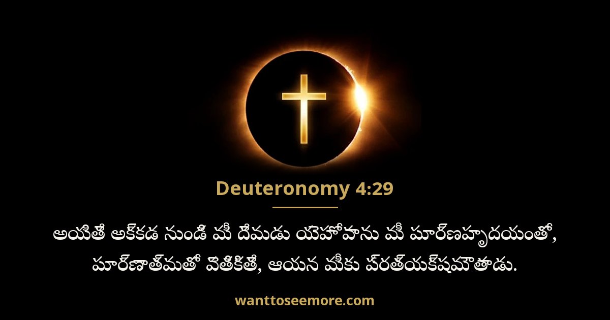 Deuteronomy 4:29