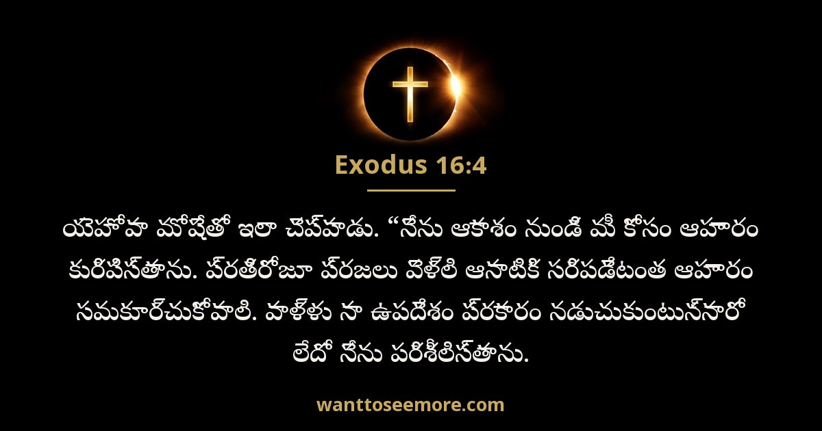 Exodus 16:4