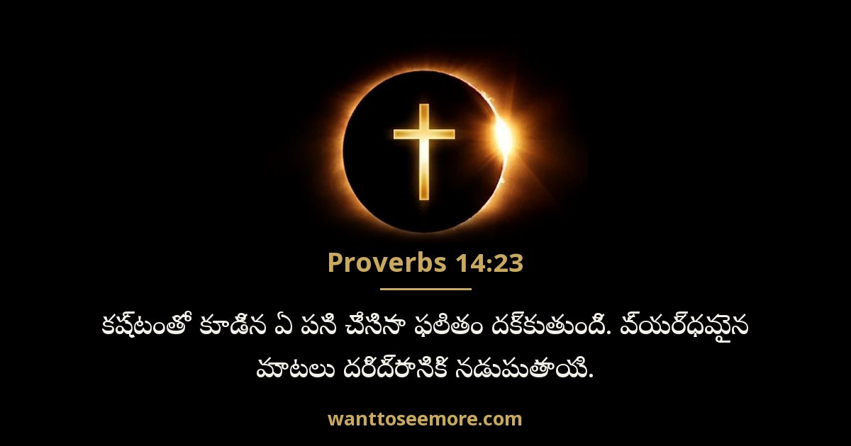 Proverbs 14:23