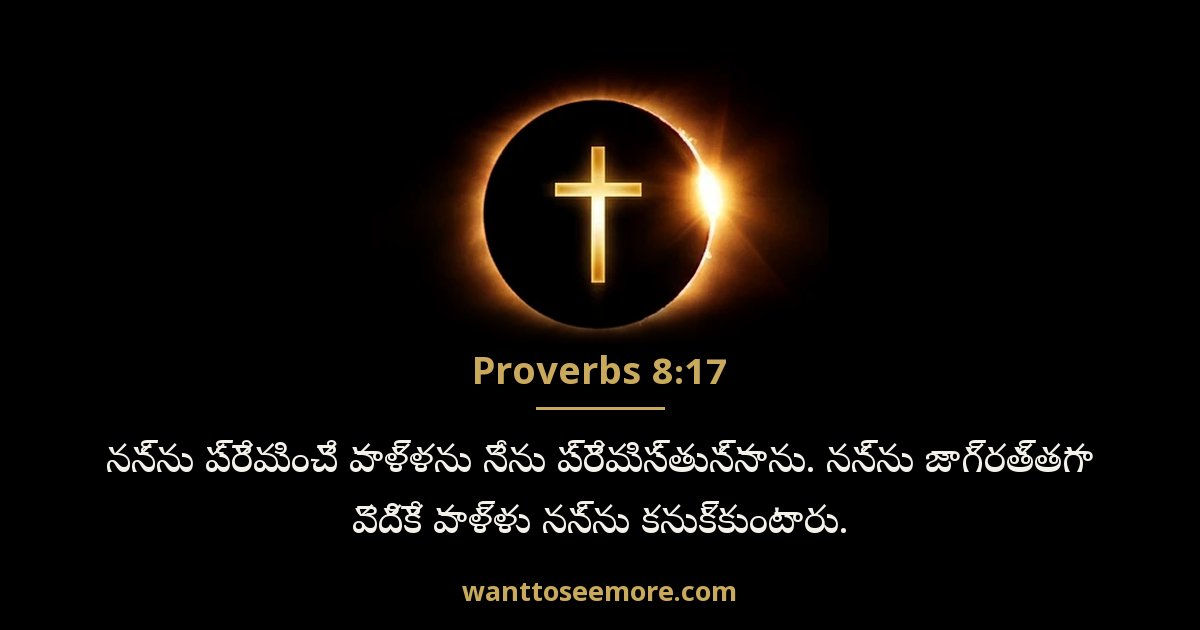 Proverbs 8:17