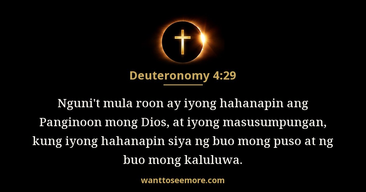 Deuteronomio 4:29