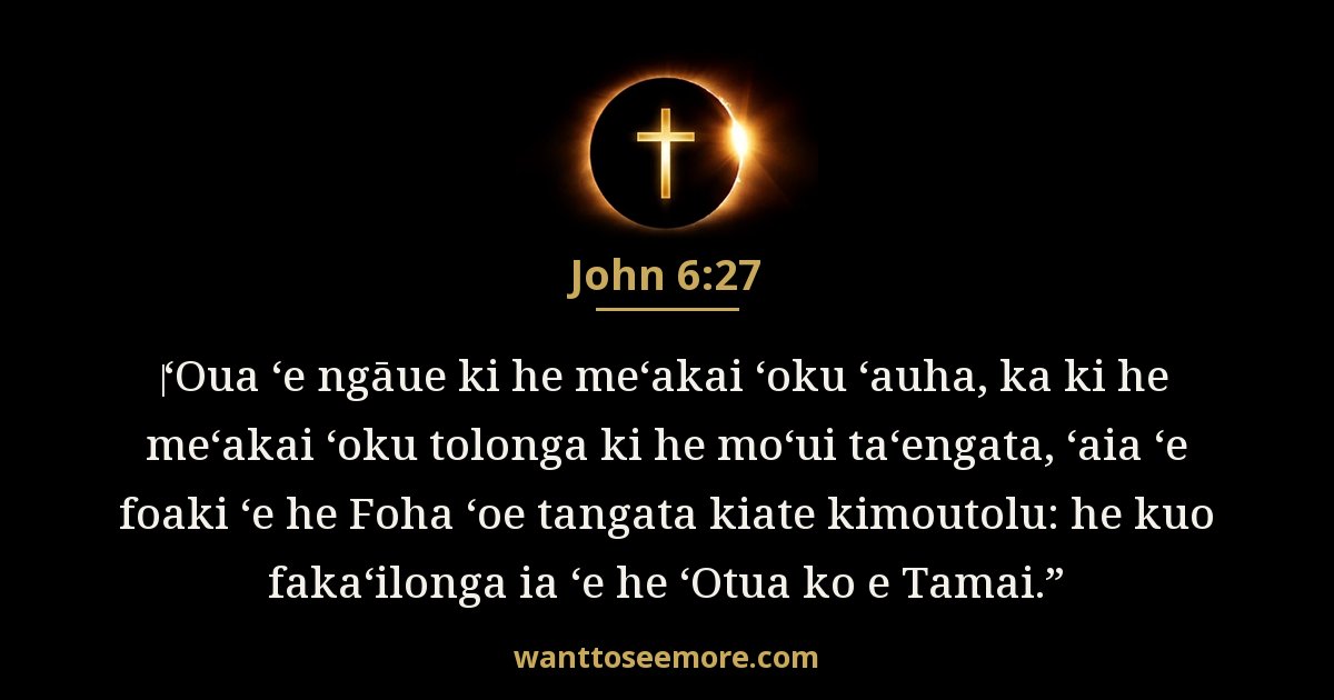 JHN 6:27