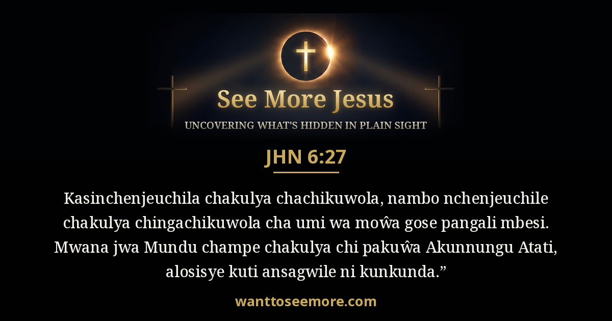 JHN 6:27