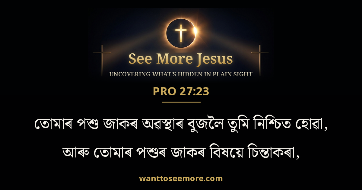 Proverbs 27:23