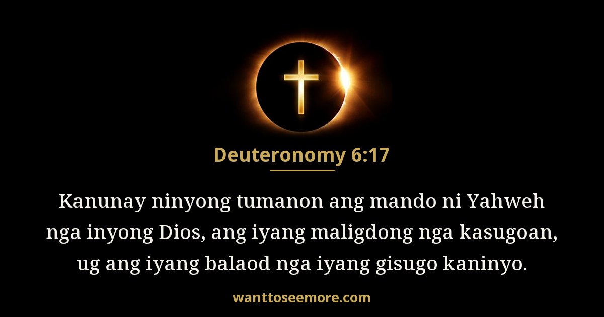 Deuteronomy 6:17
