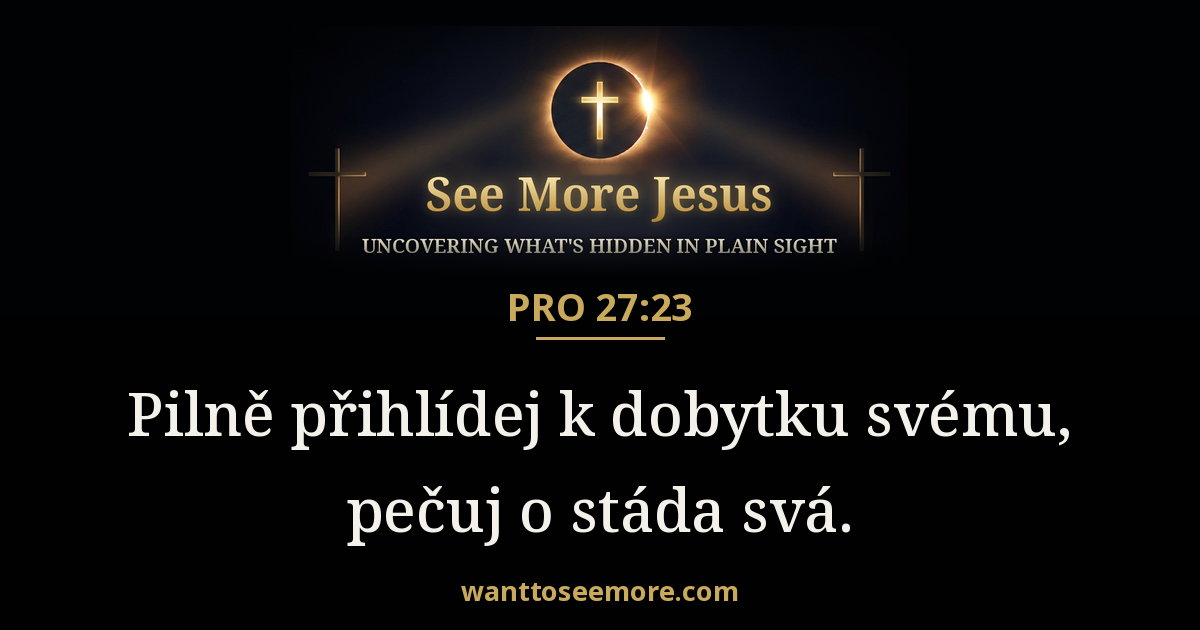 Proverbs 27:23