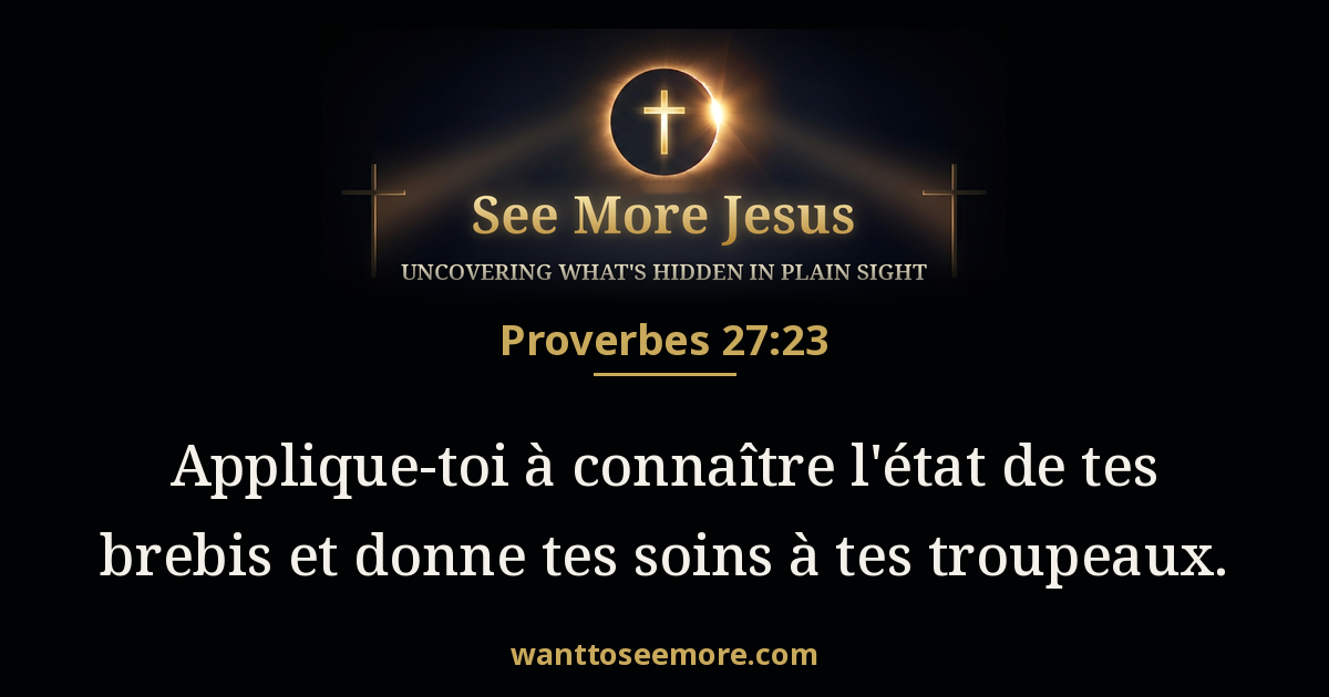 Proverbs 27:23